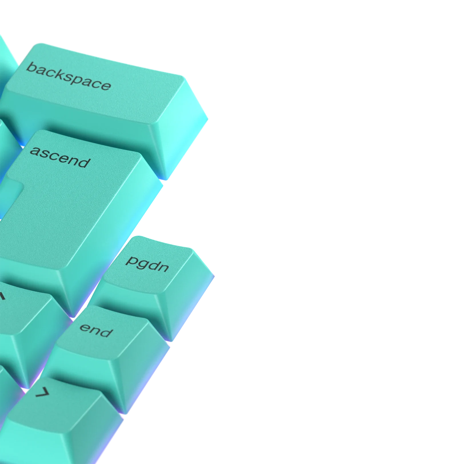 Keycaps Rainforest Nordic - Image 10